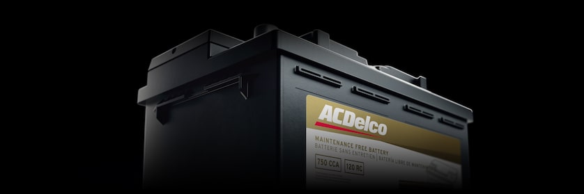 ACDelco automotive battery